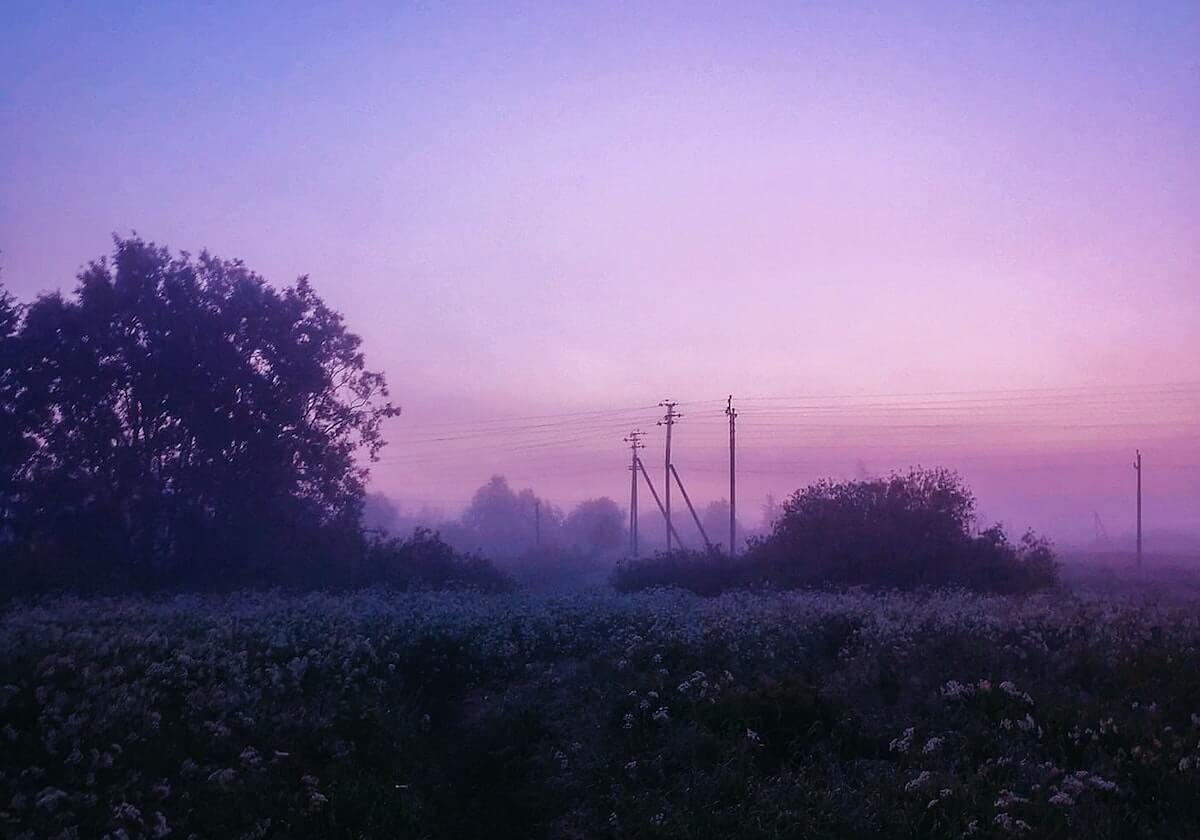 开云官网-淘宝闪购与2026 F1中国大奖赛达成合作